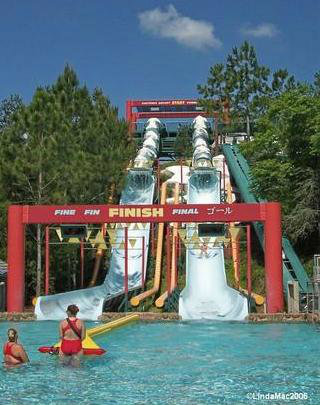 disney-world-blizzard-beach-downhill-double-dipper.jpg
