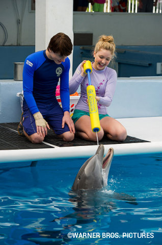 dolphin-tale-2-sawyer-hazel-hope.jpg