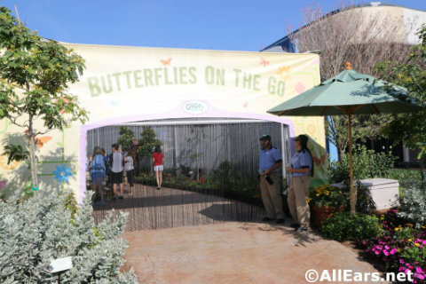 epcot-flower-garden-festival-butterfly-tent.jpg