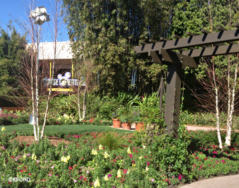 epcot-flower-garden-hummingbird-garden.jpg