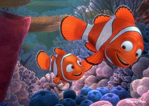 finding-nemo-3d-nemo-marlin.jpg