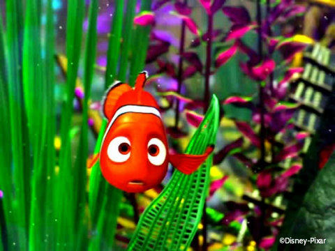 Disney Animation Finding Nemo · Creative Fabrica