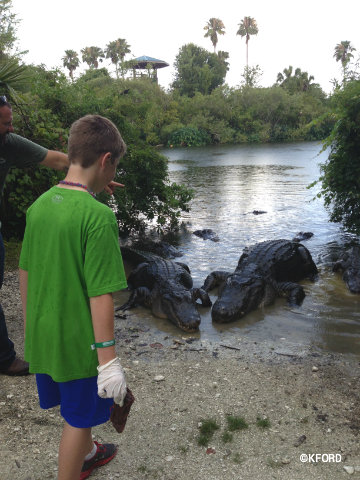 gatorland-carter-feeding.jpg