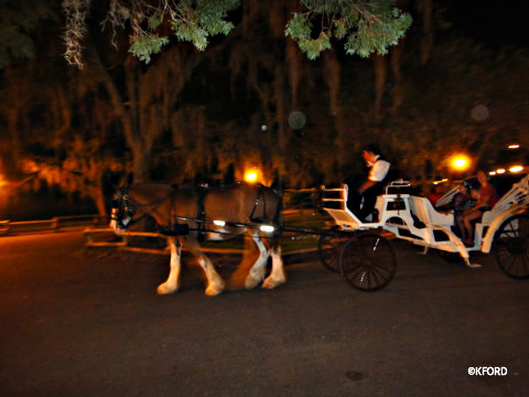 haunted-carriage-ride-spooky.jpg