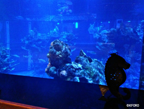 living-seas-salon-aquarium-window.jpg