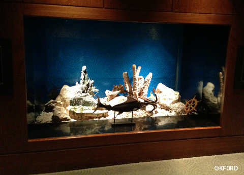 living-seas-salon-coral-display.jpg