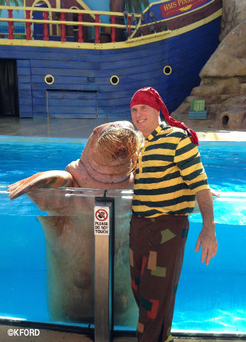 seaworld-clyde-and-seamore-walrus.jpg