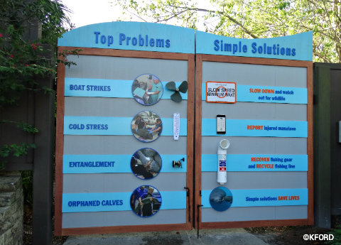 seaworld-orlando-dangers-to-manatees-display.jpg