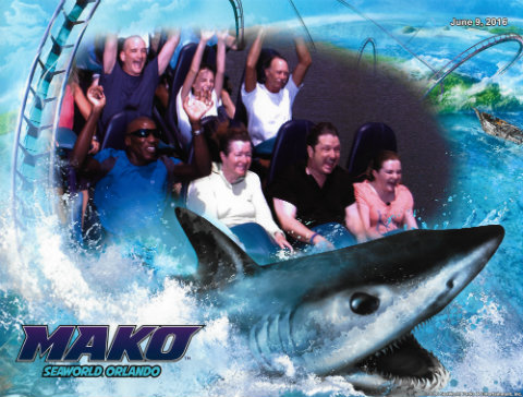 SeaWorld's new shark-themed coaster opening in June