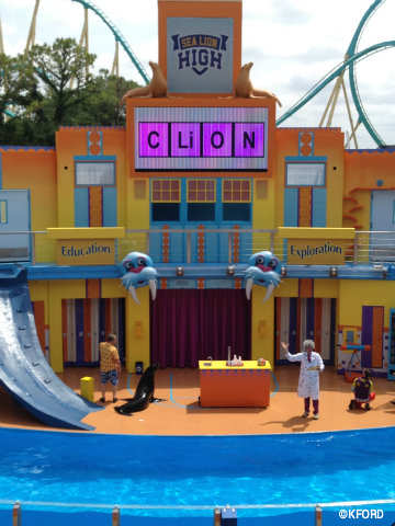 seaworld-orlando-sea-lion-high-chemistry.jpg
