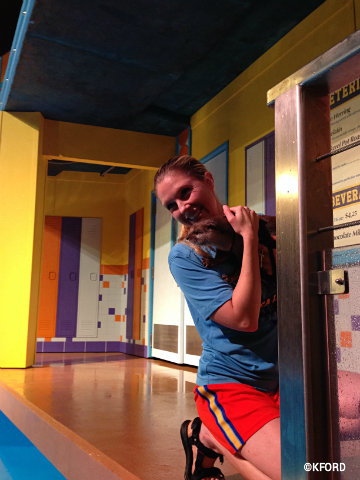 seaworld-orlando-sea-lion-high-otter.jpg