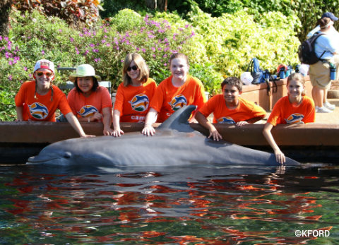 seaworld-orlando-summer-camp-petting-dolphin.jpg