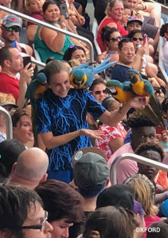 seaworld-orlando-touch-the-sky-macaws.jpg