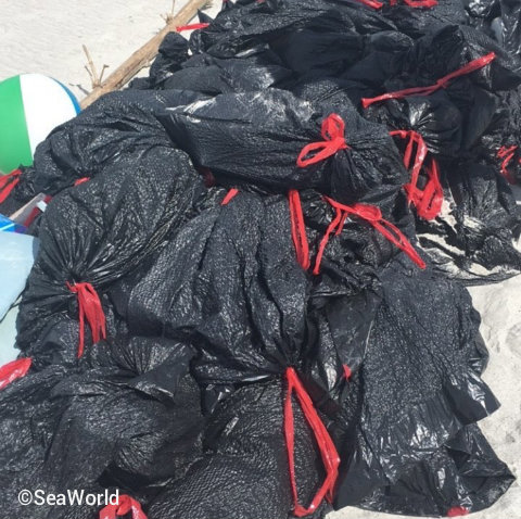seaworld-orlando-trash-from-beach-cleanup.jpg