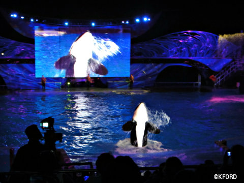 SeaWorld's Summer Nights offers old favorites, plus a few surprises ...