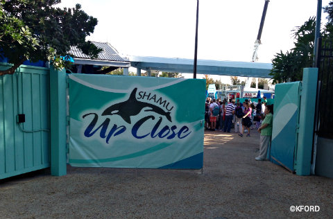 seaworld-shamu-up-close-entry.jpg