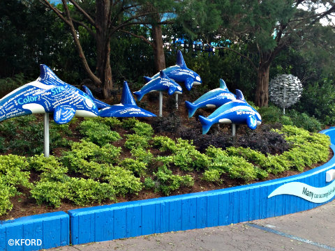 seaworld-shamu-up-close-inspiration-whales.jpg