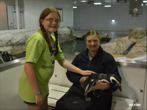 seaworld-summer-camp-2015-petting-penguin.jpg