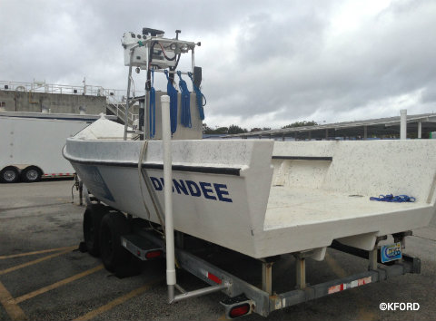 seaworld-wild-days-dundee-boat.jpg