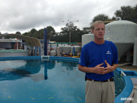 seaworld-wild-days-john-peterson.jpg
