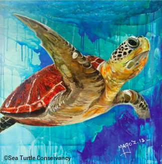 tour-de-turtles-2014-art.jpg