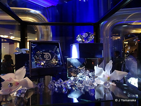 DSC00523a.JPG