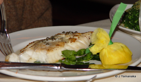 DSC02381.JPG