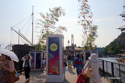 DSC03428.JPG