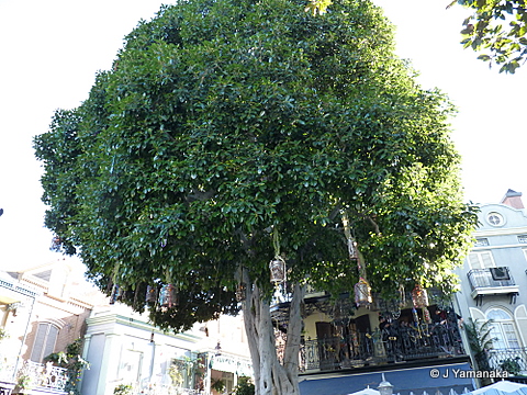 P1000916.JPG