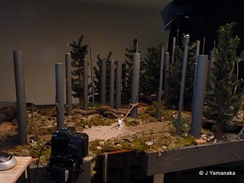 P1090013.JPG