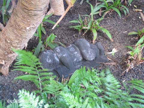Aulani Grand Opening - Resort Activities