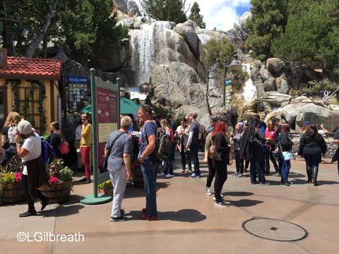 DCA Food and Wine Festival