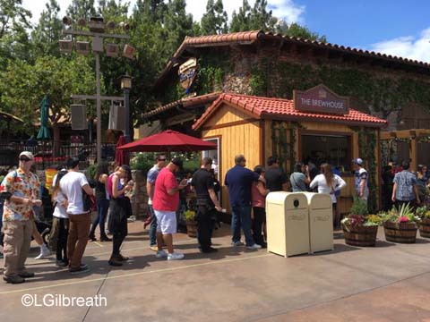 DCA Food and Wine Festival