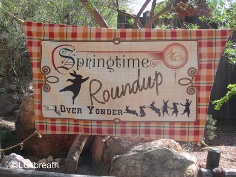 Springtime Fun at Disneyland