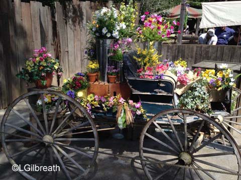 Springtime Fun at Disneyland