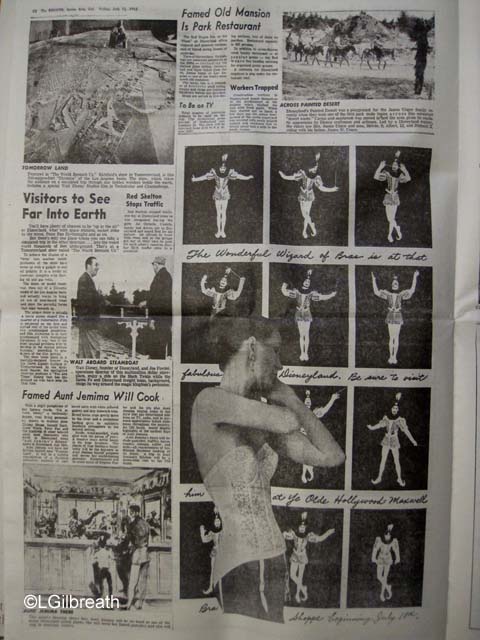 Disneyland Wizard of Bras ad