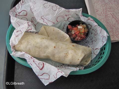 Disneyland Updates and Random Observations - August 5, 2011, Part 1