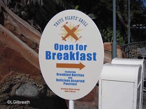 Disneyland Updates and Random Observations - August 5, 2011, Part 1