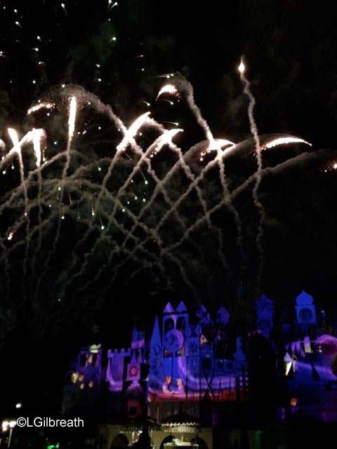 Disneyland Forever 8/8/15