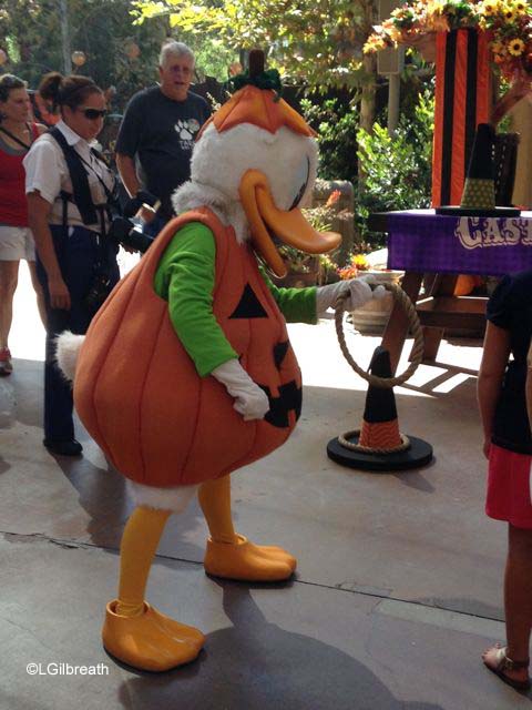 Disneyland's Halloween Time 2014