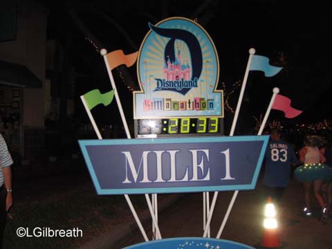 Disneyland Half Marathon Weekend 2013