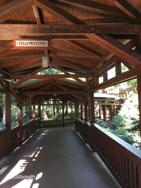 Disneyland Paris Hotel Sequoia