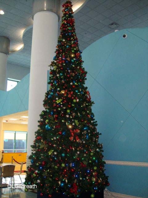 Disney Dream Bahamas Cruise