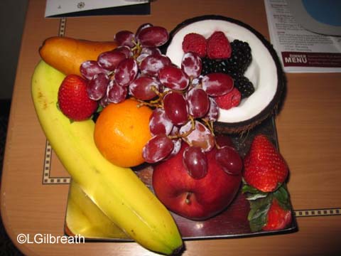 Disney Dream Bahamas Cruise