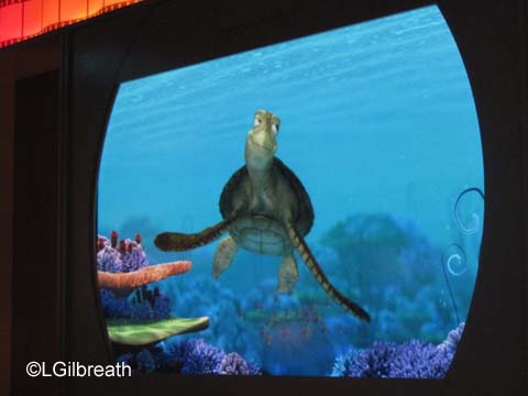 Disney Dream Bahamas Cruise