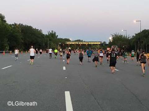 Star Wars Dark Side Half Marathon