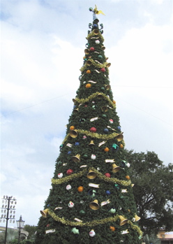 epcot_tree.jpg