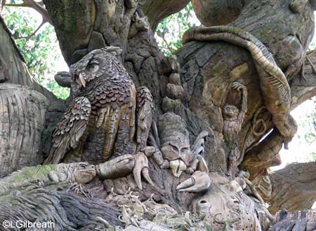 fw08tree_life.jpg