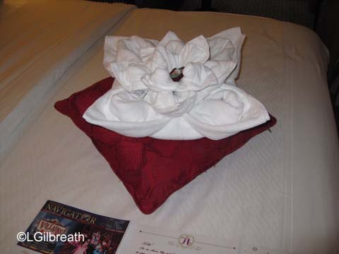 towel flower