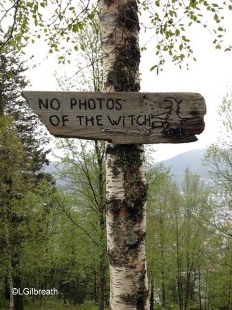 No witch photos